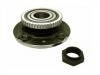 комплекс ступичного подшипника Wheel Hub Bearing:3748.29